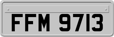 FFM9713