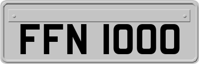 FFN1000