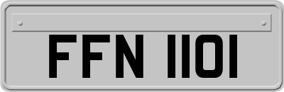 FFN1101