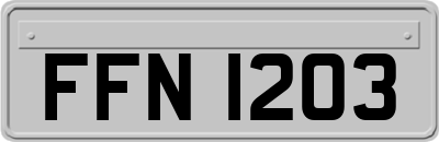 FFN1203