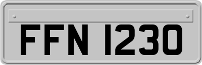 FFN1230