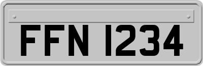 FFN1234
