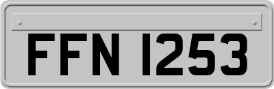 FFN1253
