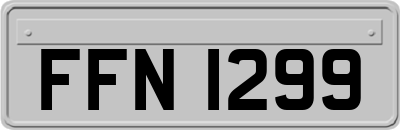 FFN1299