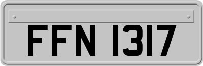 FFN1317