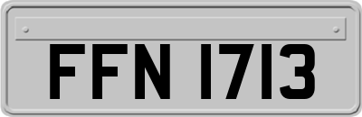 FFN1713