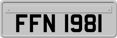 FFN1981