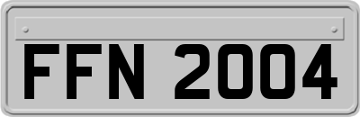 FFN2004