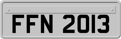 FFN2013