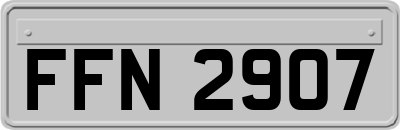 FFN2907