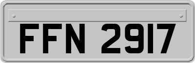 FFN2917
