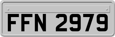 FFN2979