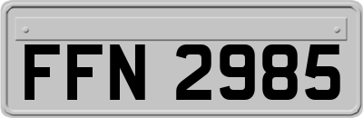 FFN2985