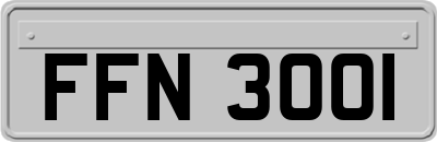 FFN3001