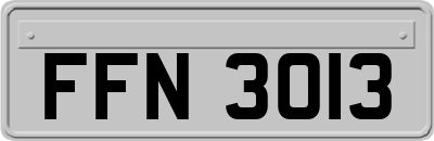 FFN3013