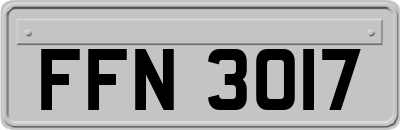 FFN3017