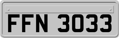 FFN3033