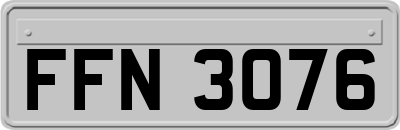 FFN3076
