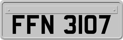 FFN3107