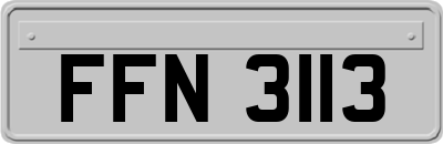 FFN3113