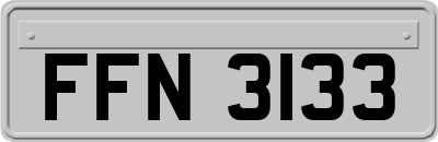 FFN3133