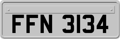 FFN3134