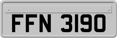 FFN3190