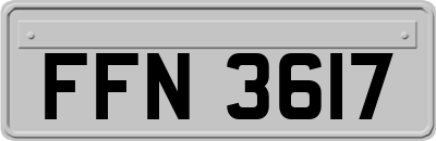 FFN3617