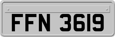 FFN3619