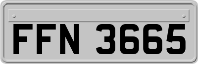 FFN3665