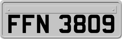 FFN3809