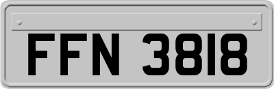 FFN3818