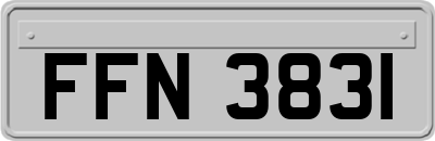 FFN3831