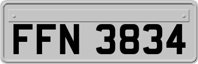 FFN3834