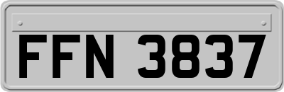 FFN3837