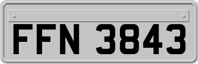 FFN3843