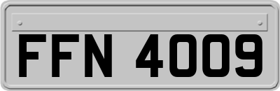 FFN4009