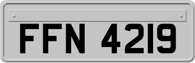FFN4219