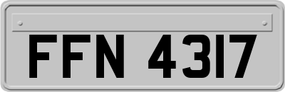 FFN4317