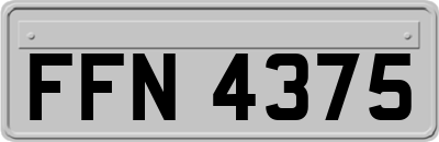 FFN4375