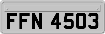 FFN4503