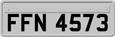 FFN4573
