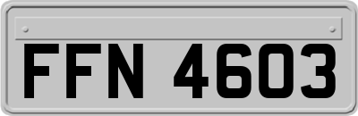 FFN4603