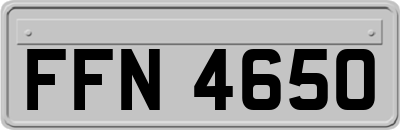 FFN4650