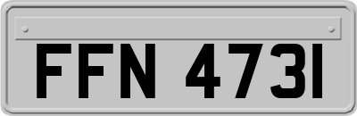 FFN4731
