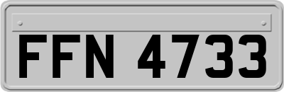 FFN4733