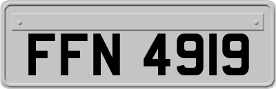 FFN4919