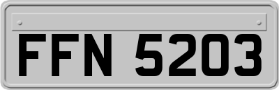 FFN5203