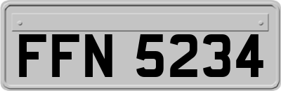 FFN5234