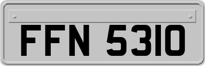 FFN5310